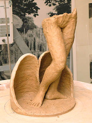 Entsehung der Venus 2009