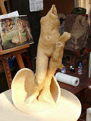 Entsehung der Venus 2009