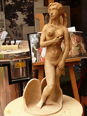 Rohfassung der Venus 2009